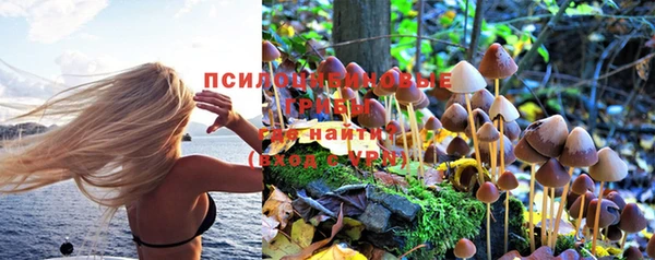 a pvp Богданович